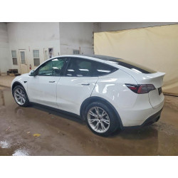 2023 TESLA MODEL Y 7SAYGDEE5PF610775 60445146