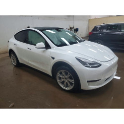 2023 TESLA MODEL Y 7SAYGDEE5PF610775 60445146