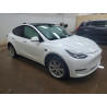 2023 TESLA MODEL Y 7SAYGDEE5PF610775 60445146