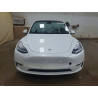 2023 TESLA MODEL Y 7SAYGDEE5PF610775 60445146