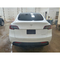 2023 TESLA MODEL Y 7SAYGDEE5PF610775 60445146