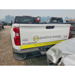 2023 CHEVROLET ALL Models 1GC5YSEY4PF132534 61225206