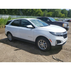 2022 CHEVROLET EQUINOX 3GNAXKEV6NL137154 62381456