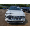 2023 HYUNDAI SANTA FE 5NMS5DA14PH002997 63992416