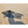 2023 CADILLAC CT4 1G6DK5RK2P0131778 64439806