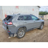 2020 JEEP CHEROKEE 1C4PJMLN3LD555354 65742896