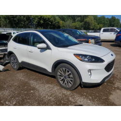 2022 FORD ESCAPE 1FMCU9J97NUA43300 66403186