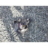 2021 GMC SIERRA 1GT49REY5MF231960 47967396