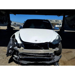 2023 TESLA MODEL Y 7SAYGDEE7PF620207 63141566