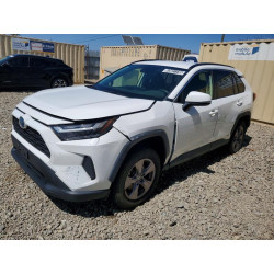 2024 TOYOTA RAV4 JTMMWRFV6RD244541 63651236