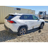 2024 TOYOTA RAV4 JTMMWRFV6RD244541 63651236