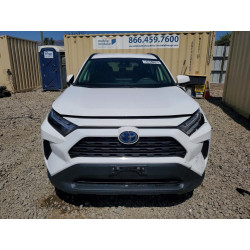 2024 TOYOTA RAV4 JTMMWRFV6RD244541 63651236