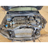 2025 HYUNDAI ELANTRA KMHLP4DG0SU045924 57031556