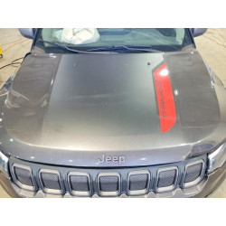 2022 JEEP COMPASS 3C4NJDDB0NT104584 50447346