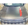 2022 JEEP COMPASS 3C4NJDDB0NT104584 50447346