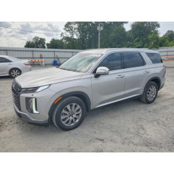 2025 HYUNDAI PALISADE KM8R24GE9SU951962 62777216