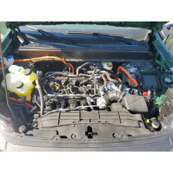 2025 FORD MAVERICK 3FTTW8J37SRB31867 62957766