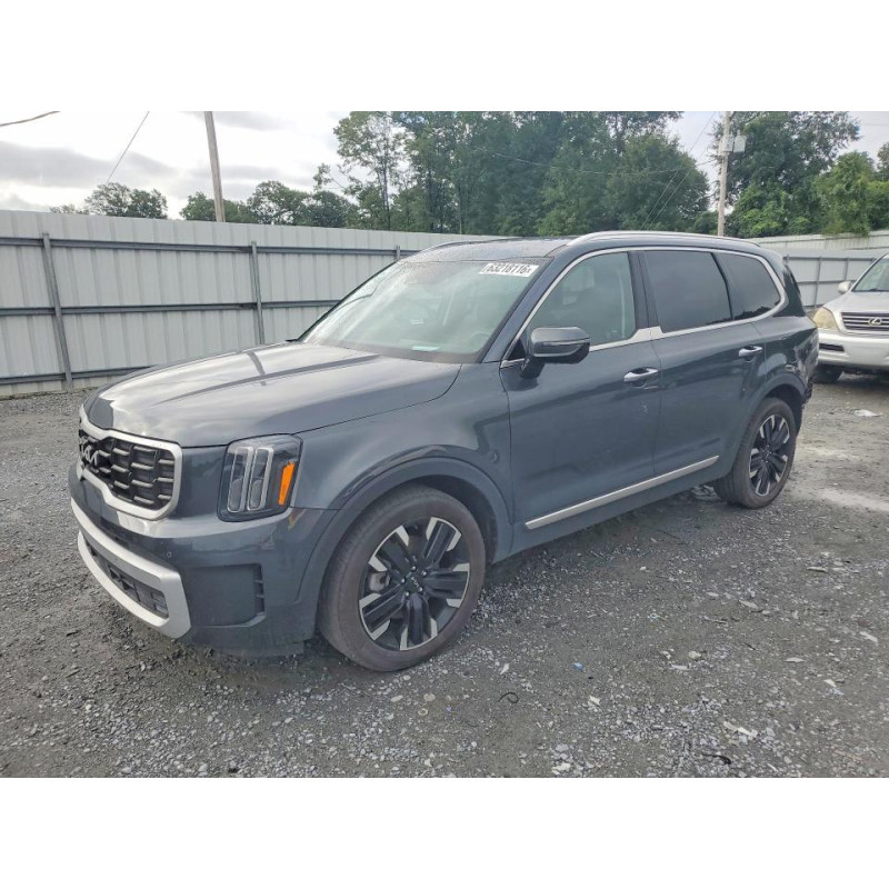 2024 KIA TELLURIDE 5XYP5DGC5RG411781 63218116