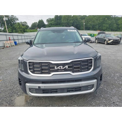 2024 KIA TELLURIDE 5XYP5DGC5RG411781 63218116