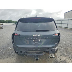 2024 KIA TELLURIDE 5XYP5DGC5RG411781 63218116