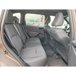 2025 SUBARU FORESTER JF2SLSED9SH435113 62029386