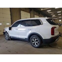 2021 KIA TELLURIDE 5XYP3DHC4MG118662 59577286