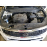 2021 KIA TELLURIDE 5XYP3DHC4MG118662 59577286