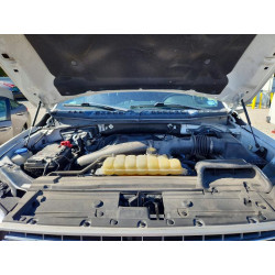 2020 FORD F150 1FTEW1E46LKD73798 69955776