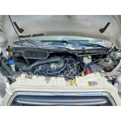 2020 FORD ALL Models 1FTBR1C80LKA05374 66346836