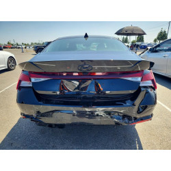 2021 HYUNDAI ELANTRA KMHLM4AG0MU209365 69056366