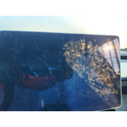 2021 TESLA MODEL Y 5YJYGDEE3MF187414 68041486