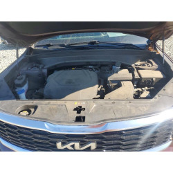 2022 KIA TELLURIDE 5XYP3DHC0NG203564 68046516