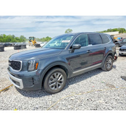 2024 KIA TELLURIDE 5XYP24GC8RG559187 49565986