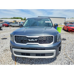 2024 KIA TELLURIDE 5XYP24GC8RG559187 49565986