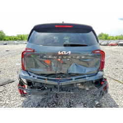 2024 KIA TELLURIDE 5XYP24GC8RG559187 49565986