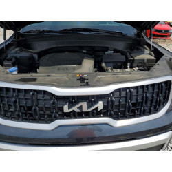 2024 KIA TELLURIDE 5XYP24GC8RG559187 49565986