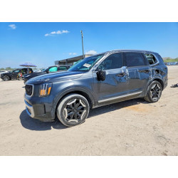2024 KIA TELLURIDE 5XYP34GC0RG522681 65666156