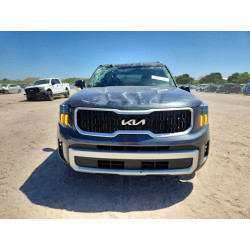 2024 KIA TELLURIDE 5XYP34GC0RG522681 65666156