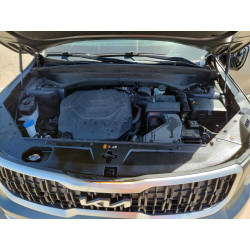 2024 KIA TELLURIDE 5XYP34GC0RG522681 65666156