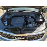 2024 KIA TELLURIDE 5XYP34GC0RG522681 65666156