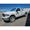 2022 RAM 1500 3C6JR7DG6NG206346 66792886