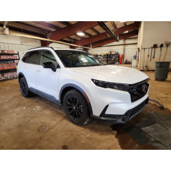 2025 HONDA CRV 7FARS6H80SE061081 66949636