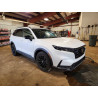 2025 HONDA CRV 7FARS6H80SE061081 66949636