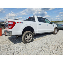 2023 FORD F150 1FTFW1E58PFD21181 48325696