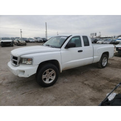 2010 DODGE DAKOTA