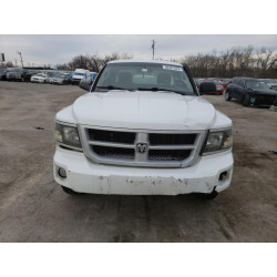 2010 DODGE DAKOTA