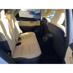 2018 LEXUS NX