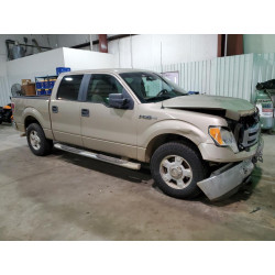 2010 FORD F-150