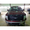 2009 FORD F-150