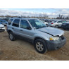 2007 FORD ESCAPE
